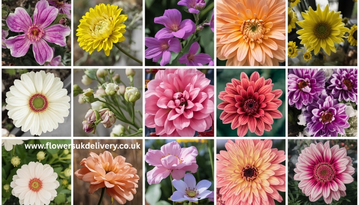 birth month flowers meanings birthday gift for someone special Relevance: A visual reference readers can save and share Placement: After the two birth month lists in Section 5