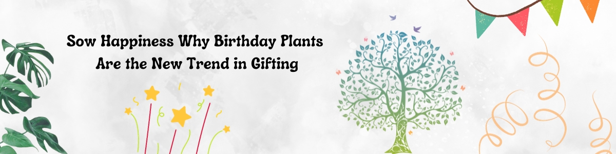 """Sow Happiness: Why Birthday Plants Are the New Trend in Gifting"" "