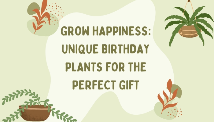 Grow Happiness: Unique Birthday Plants for the Perfect Gift