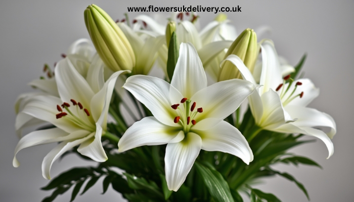 White Easter lilies UK — fresh flower delivery for Easter Sunday Relevance: Highlights the most iconic Easter flower Placement: Within Section 1