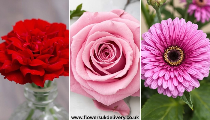 Birthday Flowers UK birth flowers by month guide