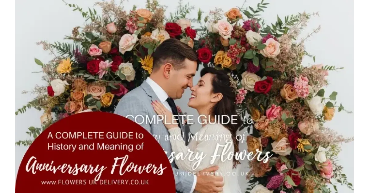A Complete Guide to