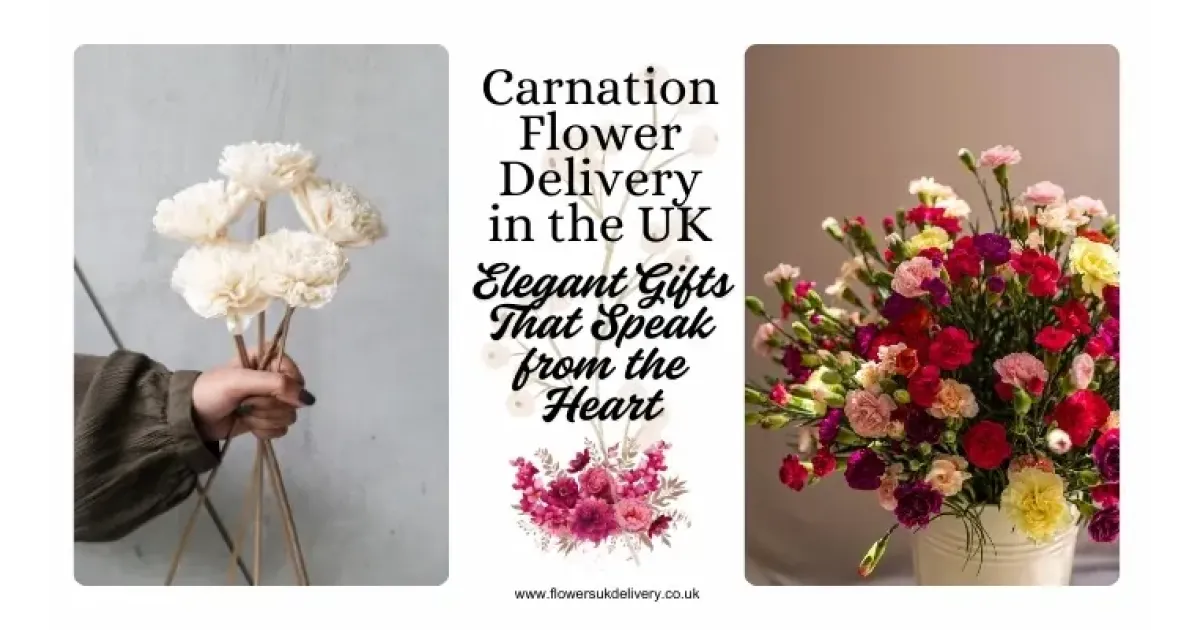Carnation Flower Delivery in the UK:
