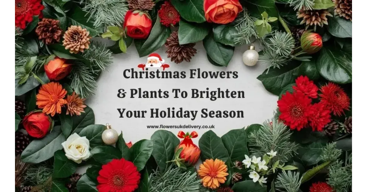 Christmas Flowers and Plants To Brighten