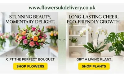Flowers or Plants as a Gift: Which Makes a Better Gift?