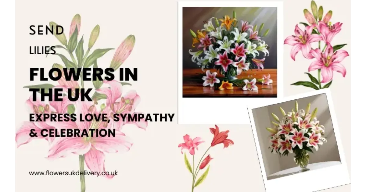 Send Lilies Flowers in the UK:
