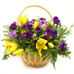 Keep Hanging Basket Fresh For a Long Time in All Season with Our Tips