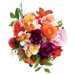 Flowers the best gift for all occasions to show your care