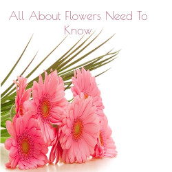 6 interesting Flower related Questions you need to know