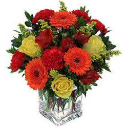 Online Same Day Flower Delivery to Show How Much You Care