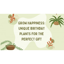 Grow Happiness: Unique Birthday Plants for the Perfect Gift