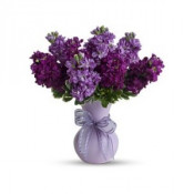 Send Purple Flowers