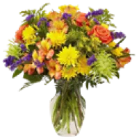 Congratulations Flowers