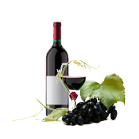 Congratulations Wine