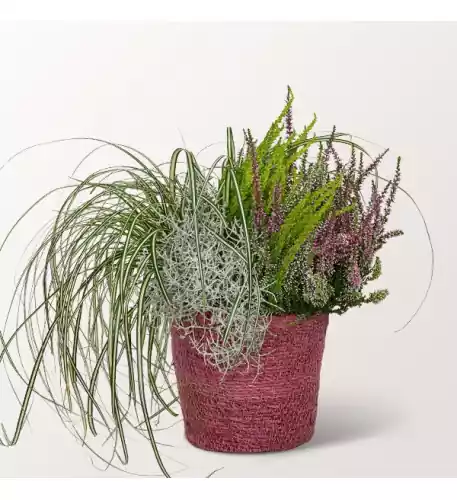 Autumnal Diversity in a See Grass Basket