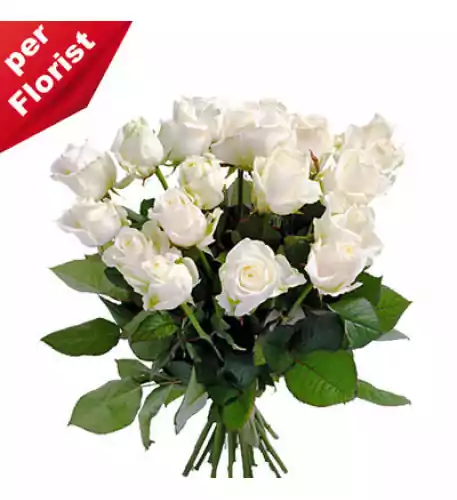 Bouquet of white roses