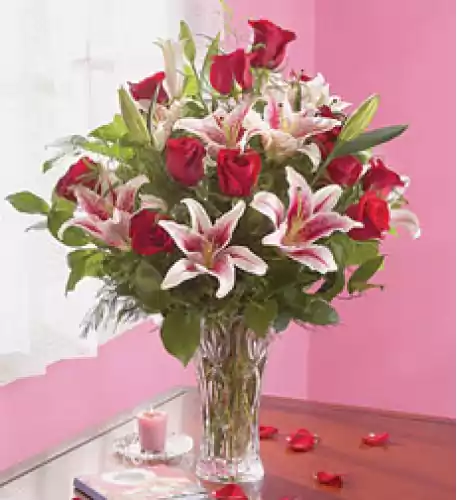Blooming Love Blooming Love