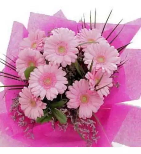 10 pink gerberas (As shown) 10 pink gerberas (As shown)