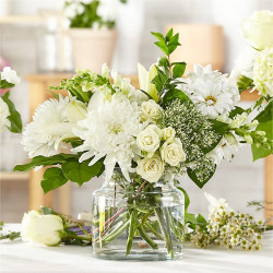Classic Ivory - A Florist Original (Standard)