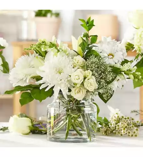 Classic Ivory - A Florist Original (Standard) Classic Ivory - A Florist Original (Standard)