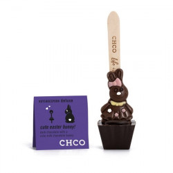 2 Pcs hotchocspoon cute easter bunny