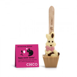 2 Pcs hotchocspoon happy easter bunny