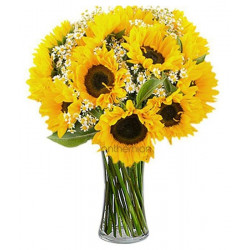 12 Sunflowers with chamomile (Basic)