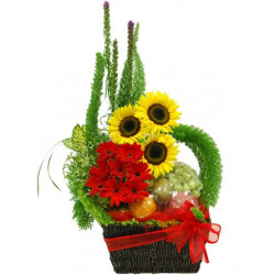 Flowers and Fruits Basket 19