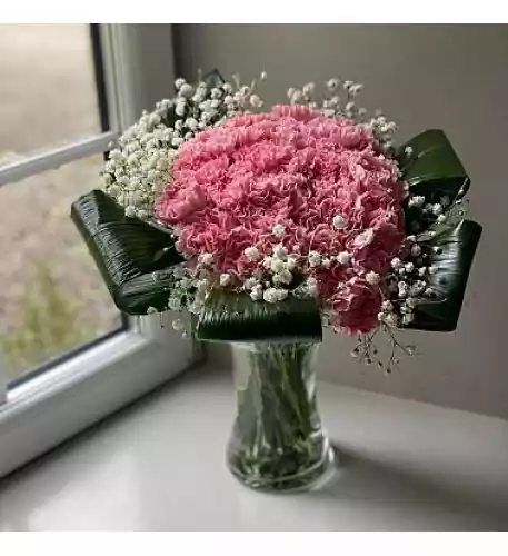 2 Dozen Pink Carnations 2 Dozen Pink Carnations