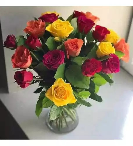 20 Multicolor Roses