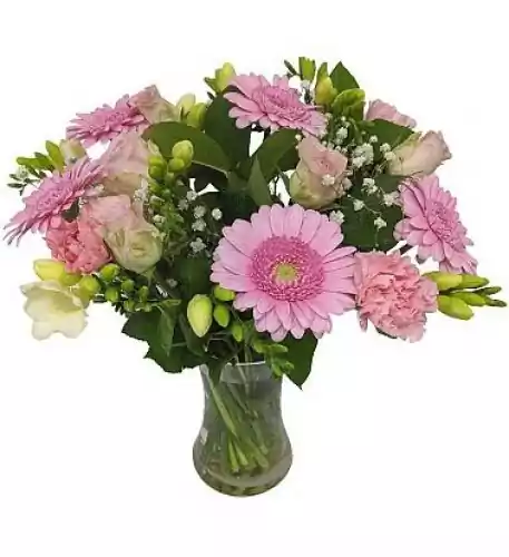 Baby Girl Flowers Baby Girl Flowers