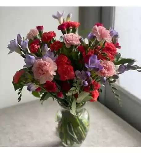 Freesia and Carnation Freesia and Carnation