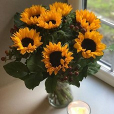 Sunflower Surprise