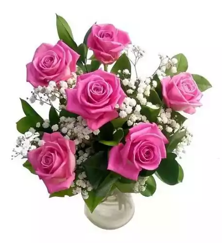 6 Pink Roses Bouquet