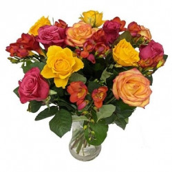 Daydream Delight Daydream Delight