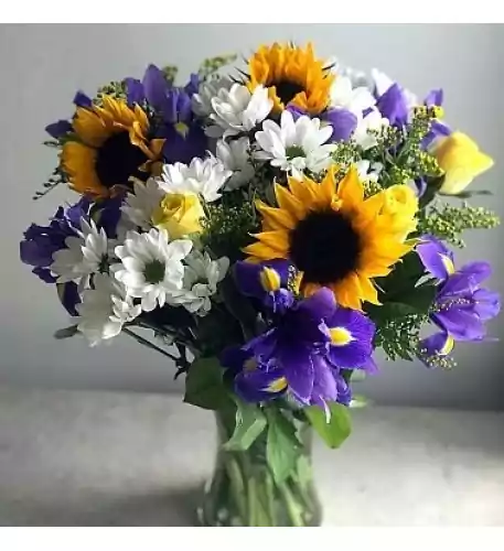 Purple Daze Purple Daze