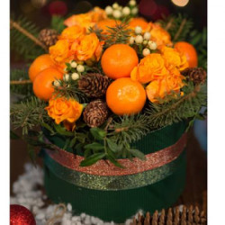 A Study Of Orange