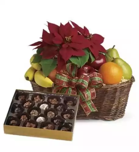 Fruity Poinsettia and Chocolates