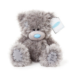 Personalised 9″ Me to You Bear Small