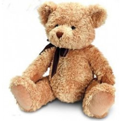School Bear School Bear