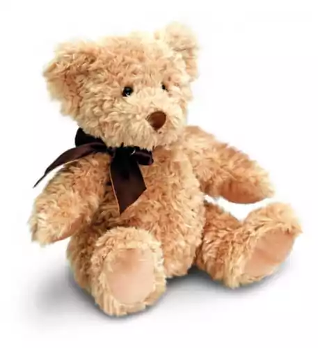 Personalised Teddy Bear - Forest quantity