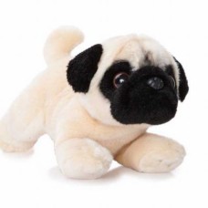 Pug Teddy