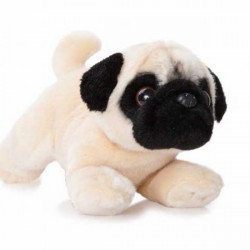 Pug Teddy Pug Teddy
