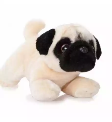Pug Teddy
