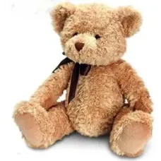 28cm Sherwood Teddy Bear