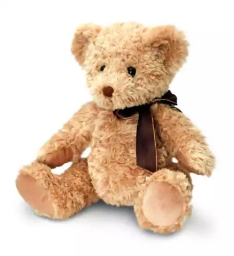 Personalised Sherwood teddy