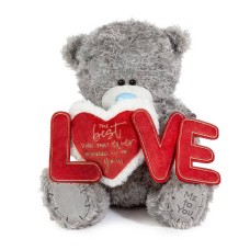 Large Me to You Love and Heart Message Bear