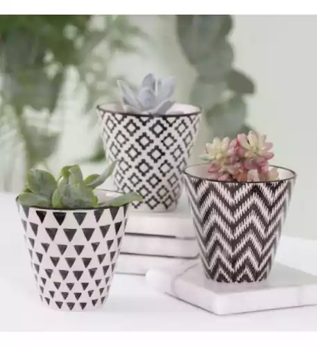 Black Geo Planters - Set of 3