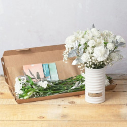 Letterbox Snowflake Flowers Letterbox Snowflake Flowers