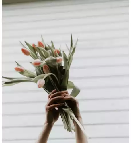 
Celebration Arrangement
